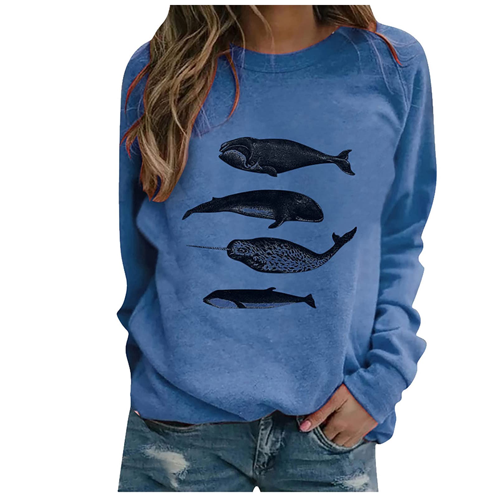 Women's Casual Long Sleeve Color Block Round Neck Loose Fit Blouse T-Shirt & Sweatshirt Pullover Tops - Comfortable Everyday Wear for Work, Outings & Relaxation