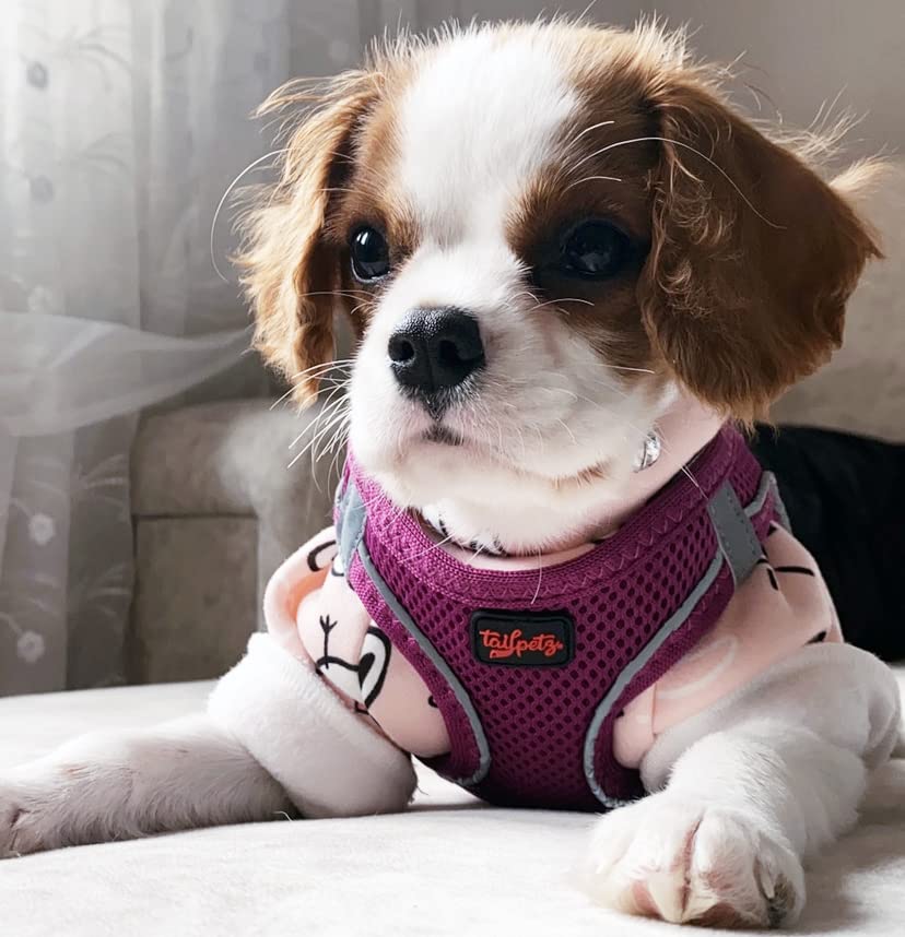 Tailpetz Adjustable No-Pull Dog Harness for Small Dogs - Purple Reflective Step-in Puppy Harness for Training, Walking & Outdoor Adventures (Size S) - Perfect for Small Breed Dogs & Puppies