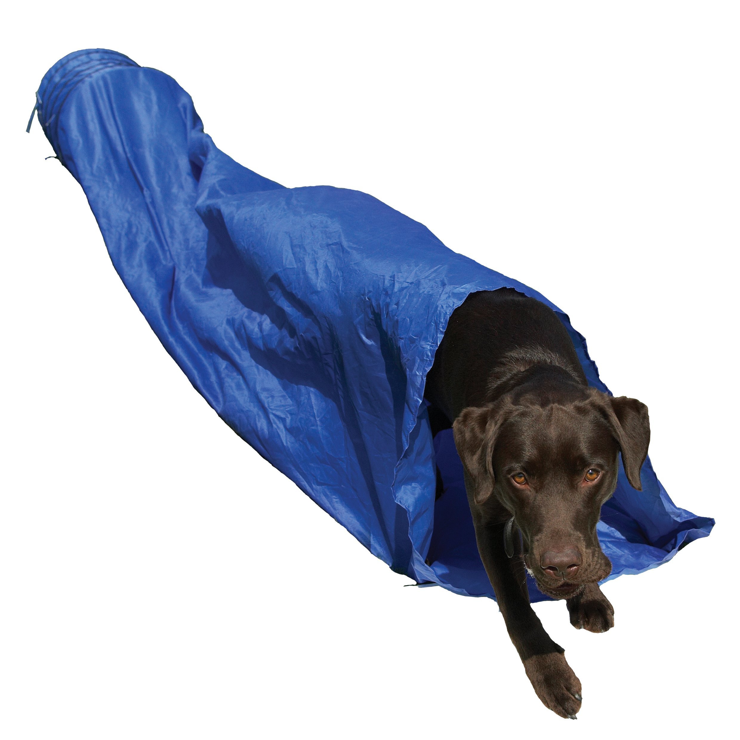 Agility Tunnel for Dogs - Foldable Pet Play & Exercise Toy for Training, Backyard Fun & Indoor Games - Perfect for Small & Large Breeds
