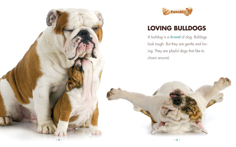 Bulldogs: A Comprehensive Guide - ISBN 9781608183616 - Perfect for Dog Lovers & Breed Enthusiasts