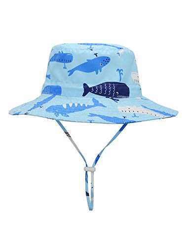 02 Blue Whale