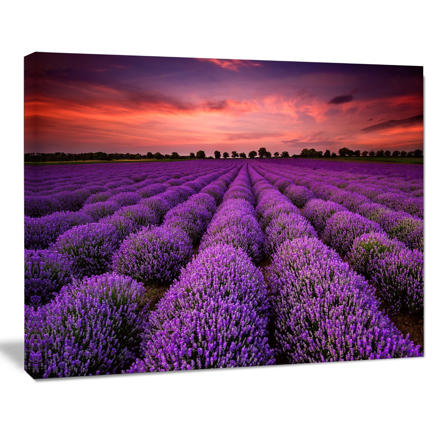 Extra Large Red Sunset Over Lavender Field Wall Art - Stunning Landscape Canvas Print for Living Room, Bedroom & Office Decor