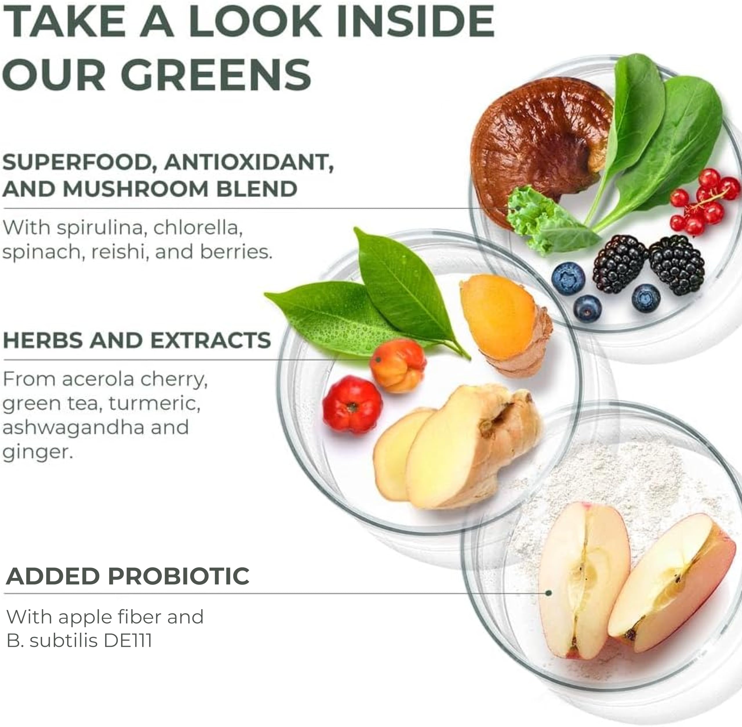 Primal Harvest Super Greens Powder - 30 Servings with 50+ Superfoods Including Chlorella, Probiotics, Green Tea, Wheatgrass, Kale & Turmeric for Energy Boost | Immune Support & Detox Supplement | Perfect for Smoothies, Juices & Daily Wellness Routine