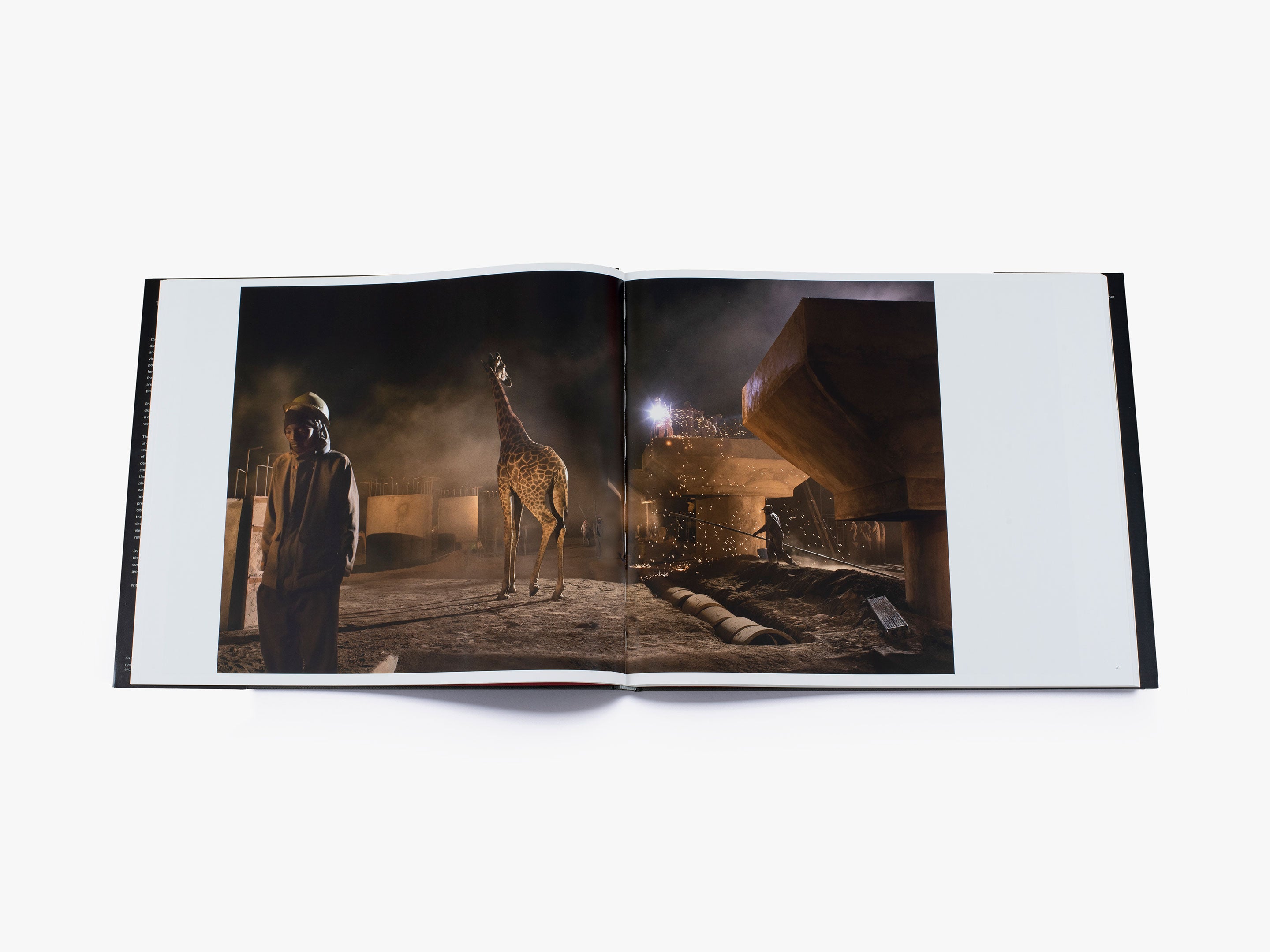 Nick Brandt: This Empty World - Stunning Wildlife Photography Book for Nature Lovers | Perfect for Home Decor, Coffee Table Display & Conservation Awareness