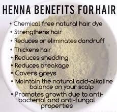 **100% Pure Henna Powder for Hair - Natural Herbal Mehandi Hair Dye (3 x 100g) | Chemical-Free Gray Coverage & Conditioning | Perfect for DIY Hair Coloring, Bridal Looks & Ayurvedic Treatments**