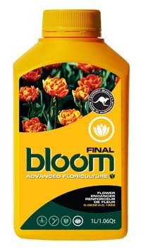 Yellow Bottles Final Bloom 1 Liter - Premium Glass Bottles for Home Brewing, DIY Crafts & Decorative Storage | Perfect for Kombucha, Iced Tea & Essential Oils