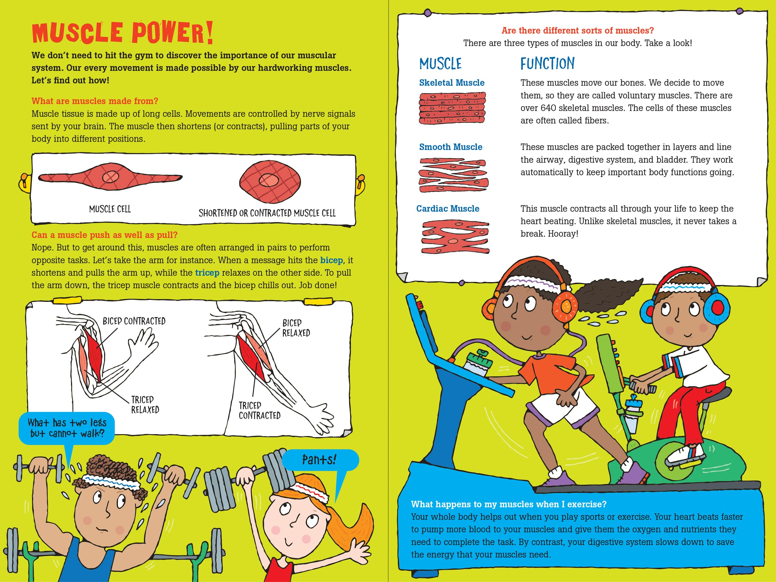 100 Questions About The Human Body - Fun & Educational Human Anatomy Book for Kids - Perfect for Homeschooling & Science Learning