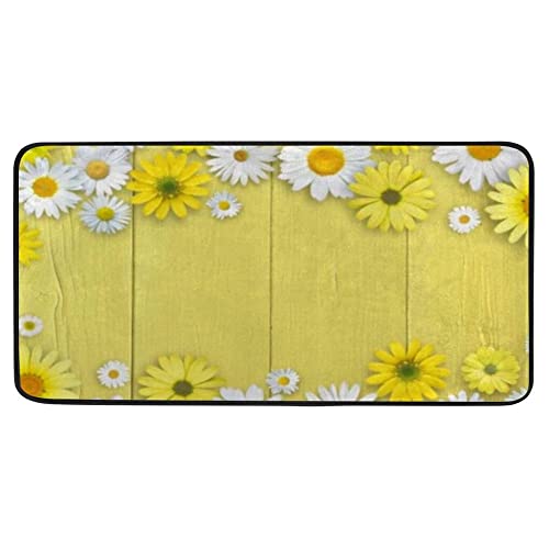 White Yellow Daisy Flowers