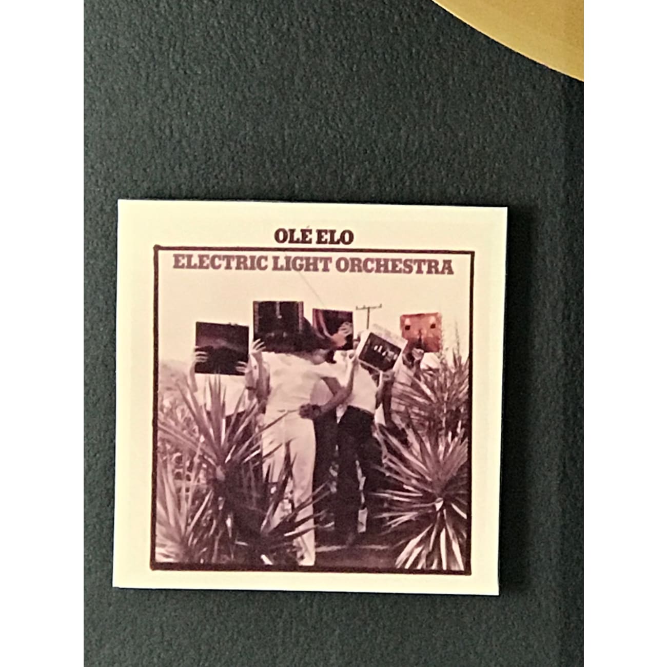 ELO Ole ELO RIAA Gold Album Award - Certified Music Collectible - Perfect for Music Lovers, Record Collectors & Home Decor