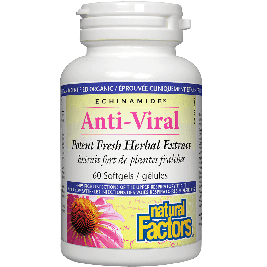 Natural Factors Echinamide Anti-Viral Immune Support Supplement - Potent Fresh Herbal Extract with Echinacea - 60 Softgels for Cold & Flu Season Defense