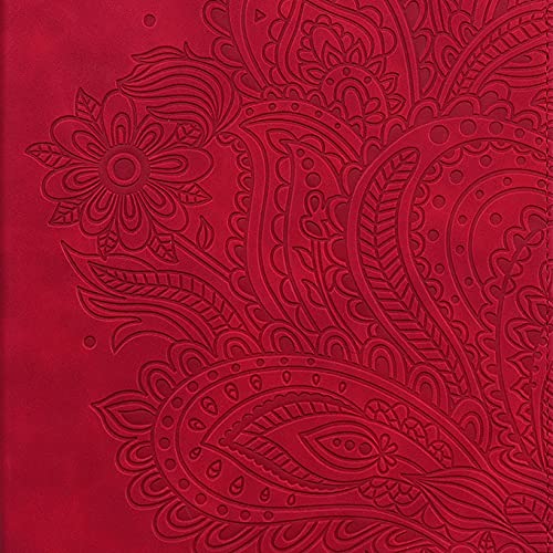 02 Red Peacock Flower