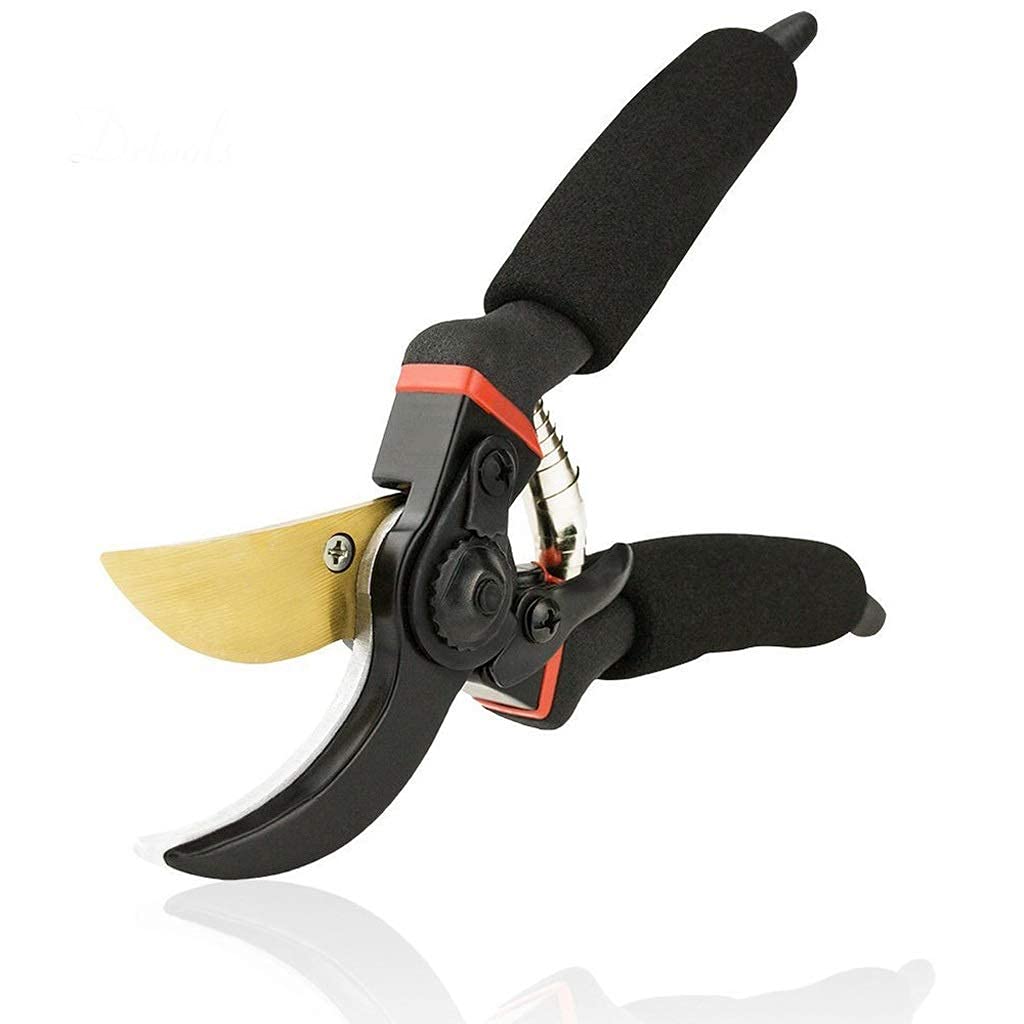 Professional Gardening Scissors & Pruning Shears with Safety Lock - Sharp Stainless Steel Blades for Tree Trimming, Plant Pruning & Landscaping - Ergonomic Non-Slip Handle for Comfortable Use (Ideal for Gardeners, Florists & DIY Enthusiasts)
