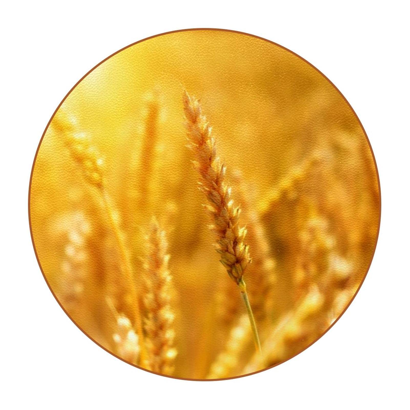 Premium Absorbent Wheat Grain Cornfield Cereals SunLeather Coasters - Set of 6 Round Drink Coasters with Holder for Mugs, Cups & Glasses - Perfect for Home Bar, Office Desk & Outdoor Dining
