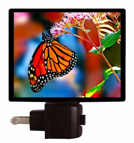 Monarch Butterfly & Birds LED Night Light - Soothing Nursery Decor, Kids Room Nightlight, Bedside Lamp for Bedrooms - Perfect for Baby Showers, Children's Rooms & Relaxing Sleep
