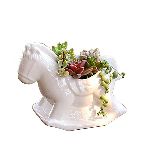 Horse White