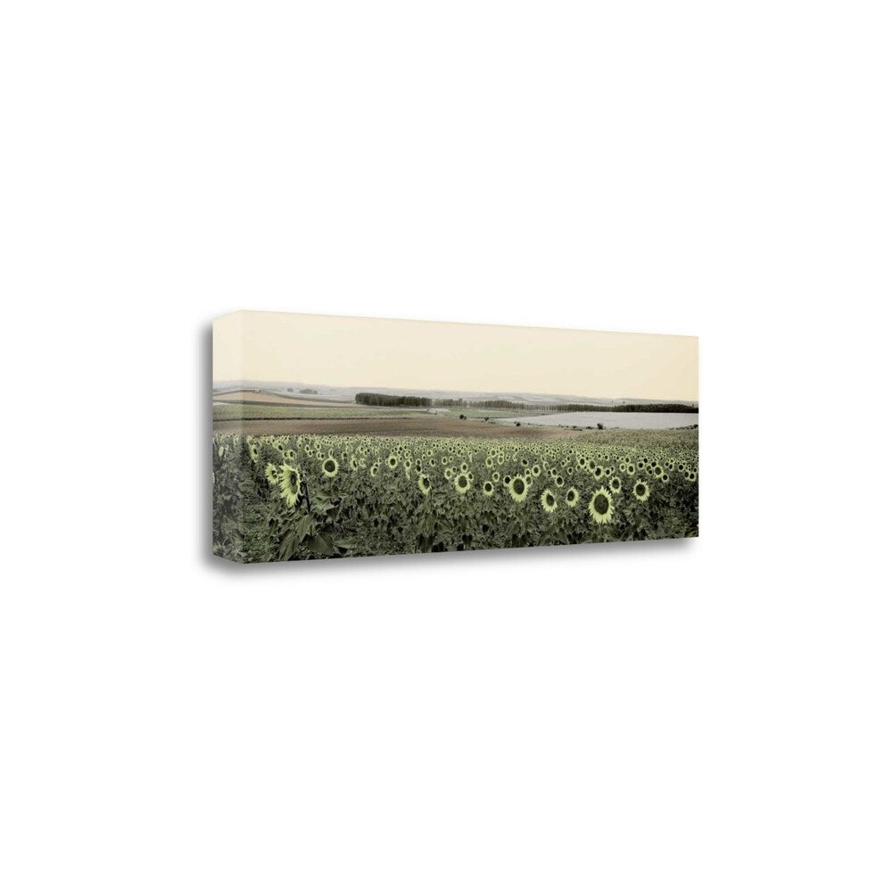 Andalusian Sun Flowers by Alan Blaustein - Premium Giclee Print on Gallery Wrapped Canvas - Perfect for Living Room, Bedroom & Office Wall Decor