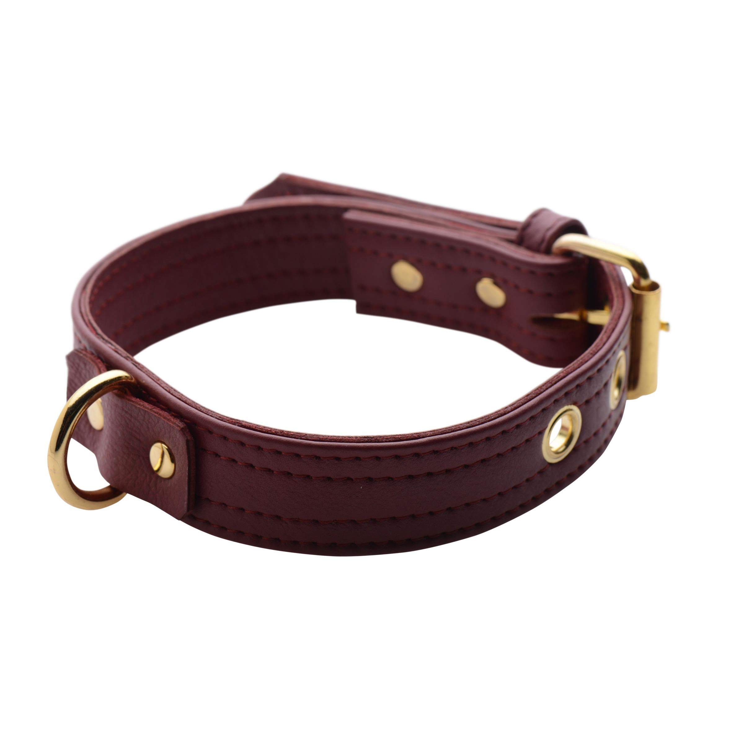 Premium Unisex Locking Collar - Adjustable Secure Necklace for Men & Women - Perfect for BDSM, Fashion Accessories, and Pet Play Scenes