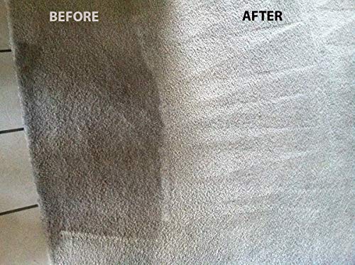Naturama All Natural Carpet Cleaner & Stain Remover - Eco-Friendly, EPA Registered Carpet Shampoo (1 Gallon, 4 Pack) - Made in USA - Perfect for Pet Stains, Spills & Deep Cleaning
