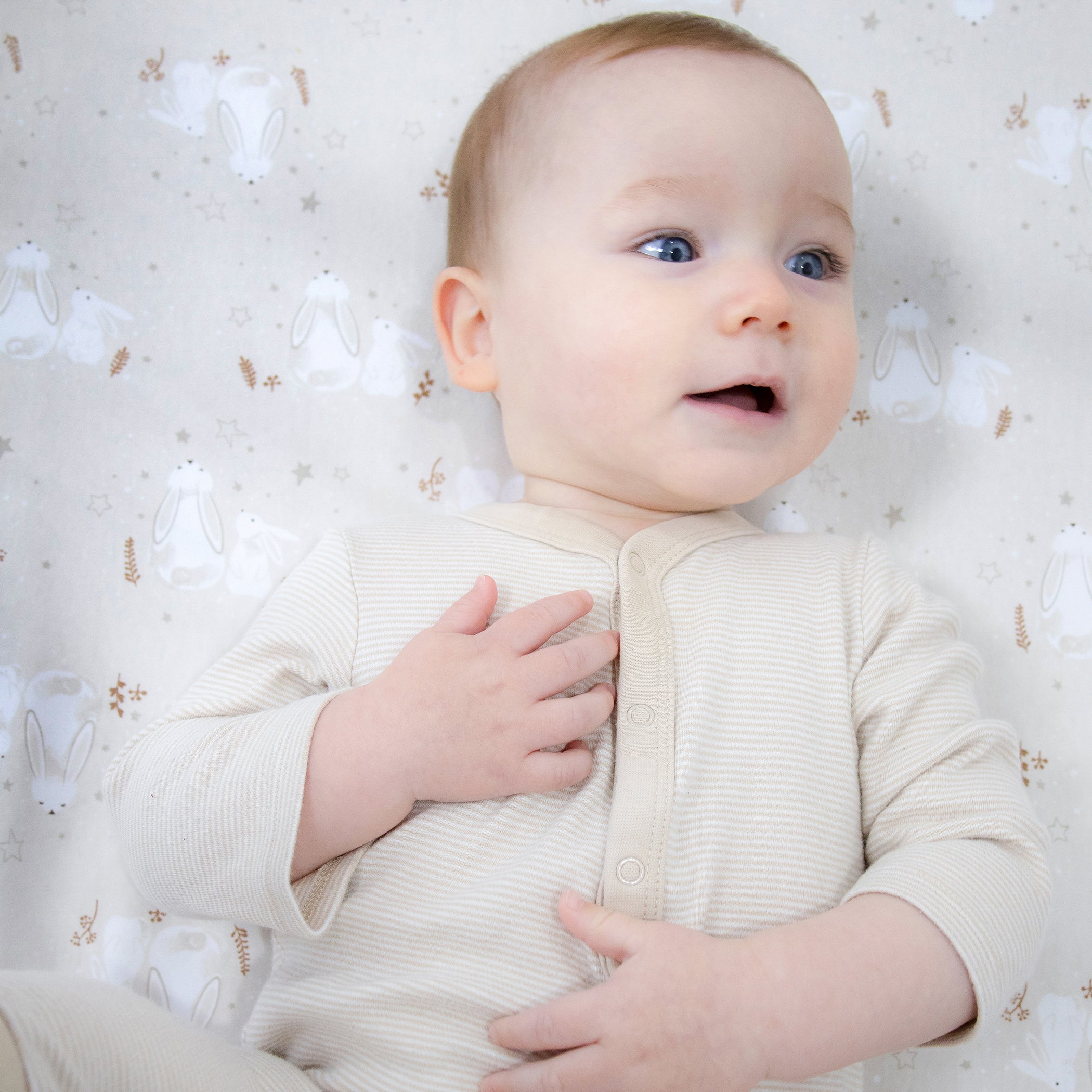Bunny Dreams Jersey Cot Fitted Sheet - Soft Baby Crib Sheet for Nursery, Daycare & Travel - Perfect for Toddlers & Infants