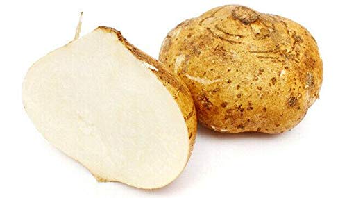 Jicama Mexican Yam Bean Seeds (Pachyrhizus Erosus) - Sweet & Crunchy, Bulk Pack of 20 - Non-GMO, High Germination Rate for Home Gardening, Snacking & Mexican Cuisine