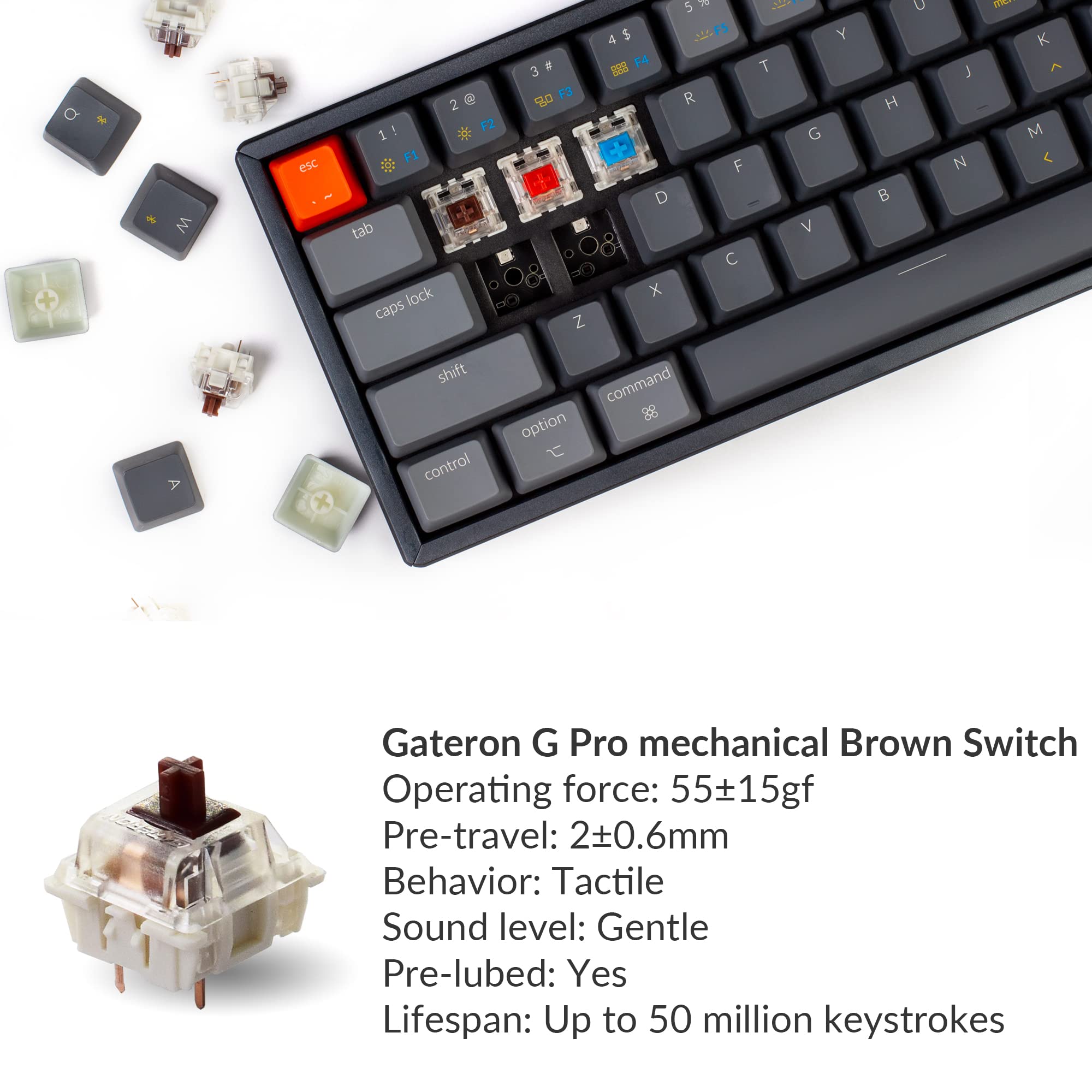 Keychron K12 60% Compact Mechanical Keyboard - RGB Backlit, Hot-Swappable Gateron G Pro Brown Switches, Bluetooth 5.1/USB Wired, Aluminum Frame, Mac & Windows Compatible - Perfect for Office Work, Gaming & Programming