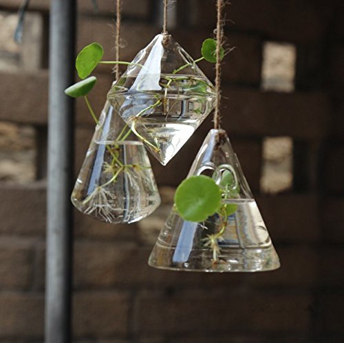 3-Piece Glass Propagation Station Wall Hanging Planters - Indoor Hydroponic Wall Vases for Plants, Flowers & Terrariums | Perfect for Home Decor, Office Greenery & Gift Giving