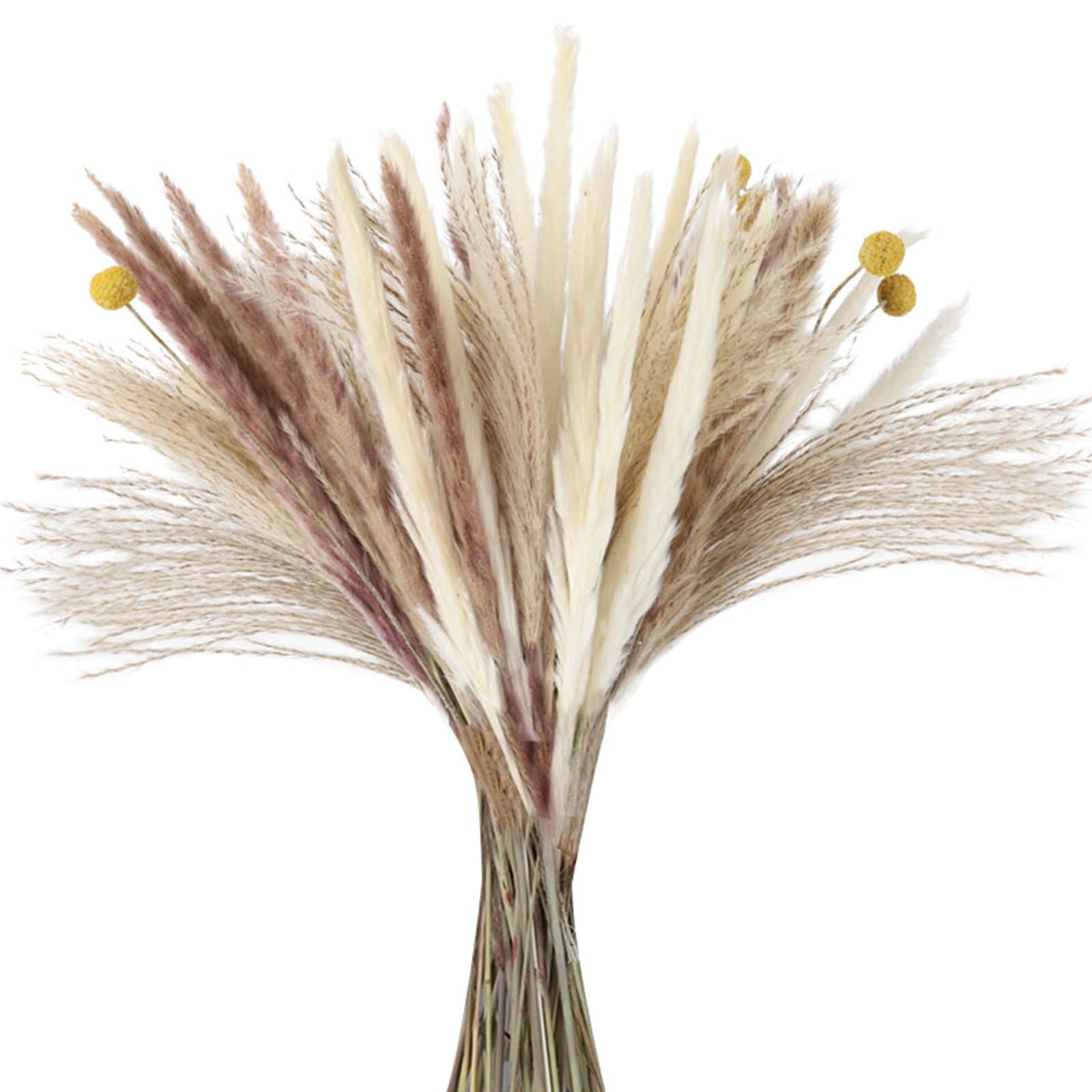 65 Pcs Natural Dried Pampas Grass Decor - 17.5