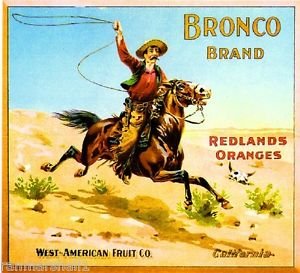 Vintage Orange Citrus Fruit Crate Magnet - San Bernardino County Bronco Art Print - Perfect for Refrigerators, Lockers & Office Decor