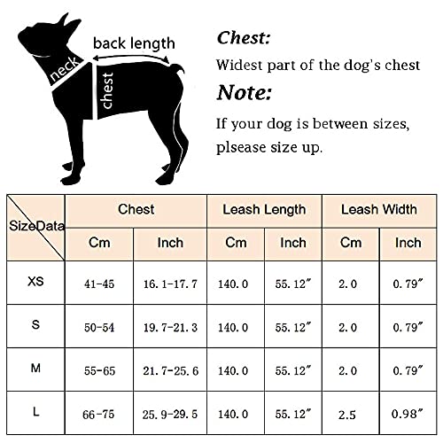 **Breathable Nylon Mesh Reflective Dog Harness & Leash Set - Adjustable Pet Collar for Small Medium Large Dogs - Perfect for Walking, Running, Hiking & Night Safety (Black)**