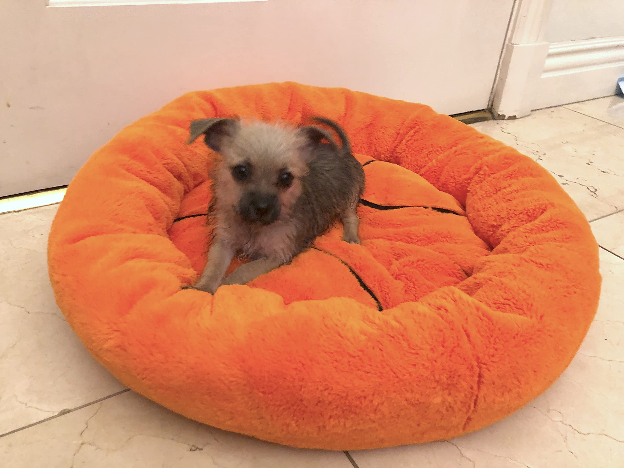TONBO Soft Plush Small Cute Cozy Basketball Pet Bed for Dogs & Cats - Washable & Dryer Safe - Perfect for Puppy Beds, Kitty Naps & Pet Lounging