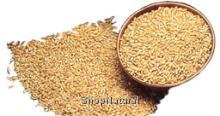 Premium Hard Red Winter Wheat - 50 lb Bulk Bag | Organic, Non-GMO | Perfect for Baking Bread, Artisan Flour, and Home Brewing