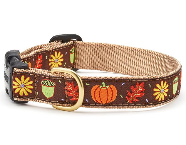 Harvest Time Dog Collar - Adjustable Pet Collar for Small Medium Large Dogs, Autumn Pumpkin Pattern, Durable Nylon with Metal Buckle - Perfect for Fall Walks, Pumpkin Patch Visits & Halloween Costumes