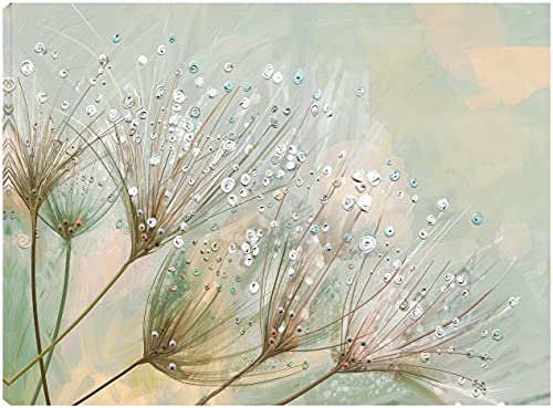 Dewdrop Colors