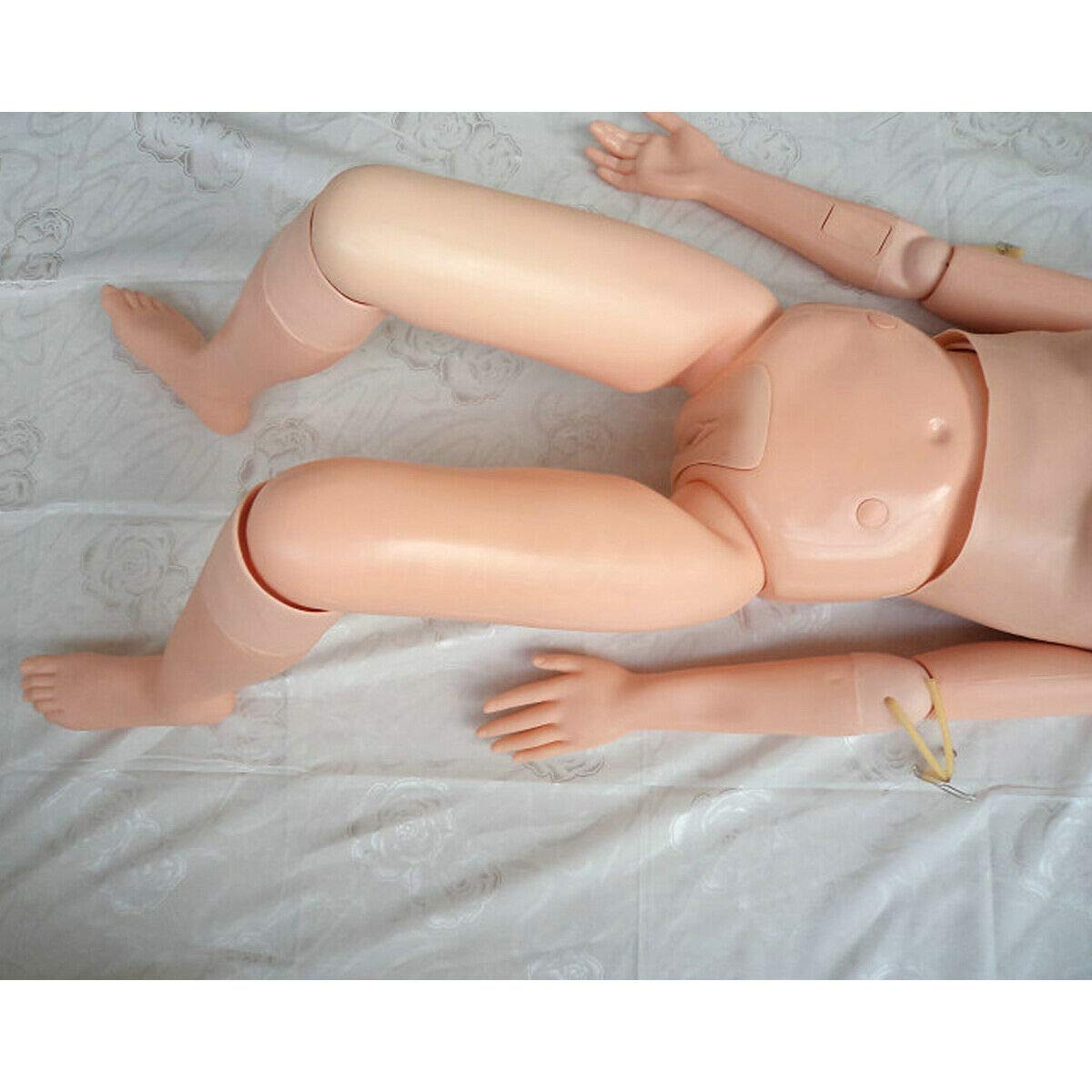 Life-Size Female Anatomical Human Manikin Model - Nursing Training, Medical Education & Classroom Teaching Supplies for Healthcare Professionals & Students | Perfect for CPR Practice, Anatomy Study & Clinical Demonstrations