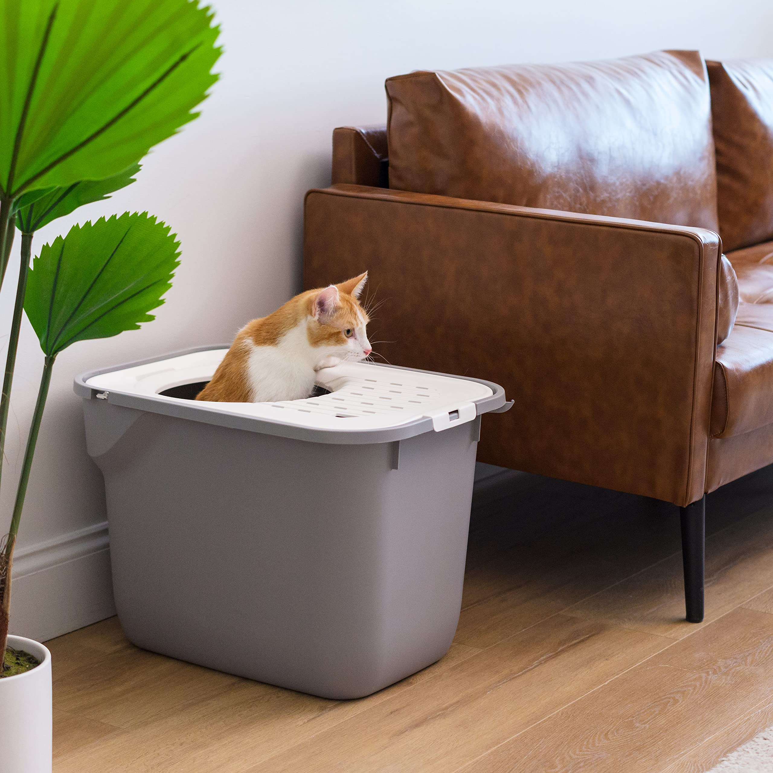 IRIS USA Large Top Entry Cat Litter Box with Litter-Catching Lid - Gray/White Enclosed Kitty Litter Box for Odor Control & Privacy - Perfect for Small Spaces & Multi-Cat Homes