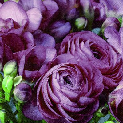 20-Pack Burgundy Freesia & Persian Buttercup Floral Lunch Napkins - Elegant Dinner Party, Wedding, and Special Occasion Table Decor