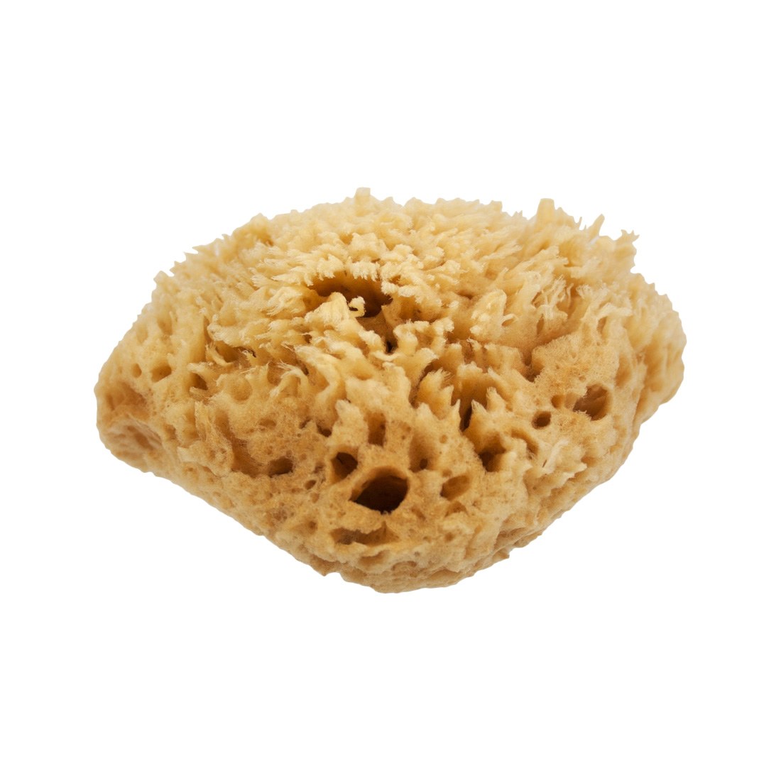 Premium Natural Sea Wool Sponge for Face & Body – Eco-Friendly, Hypoallergenic Bath & Shower Sponge – Gentle Exfoliation for Sensitive Skin – Perfect for Daily Skincare & Spa Use