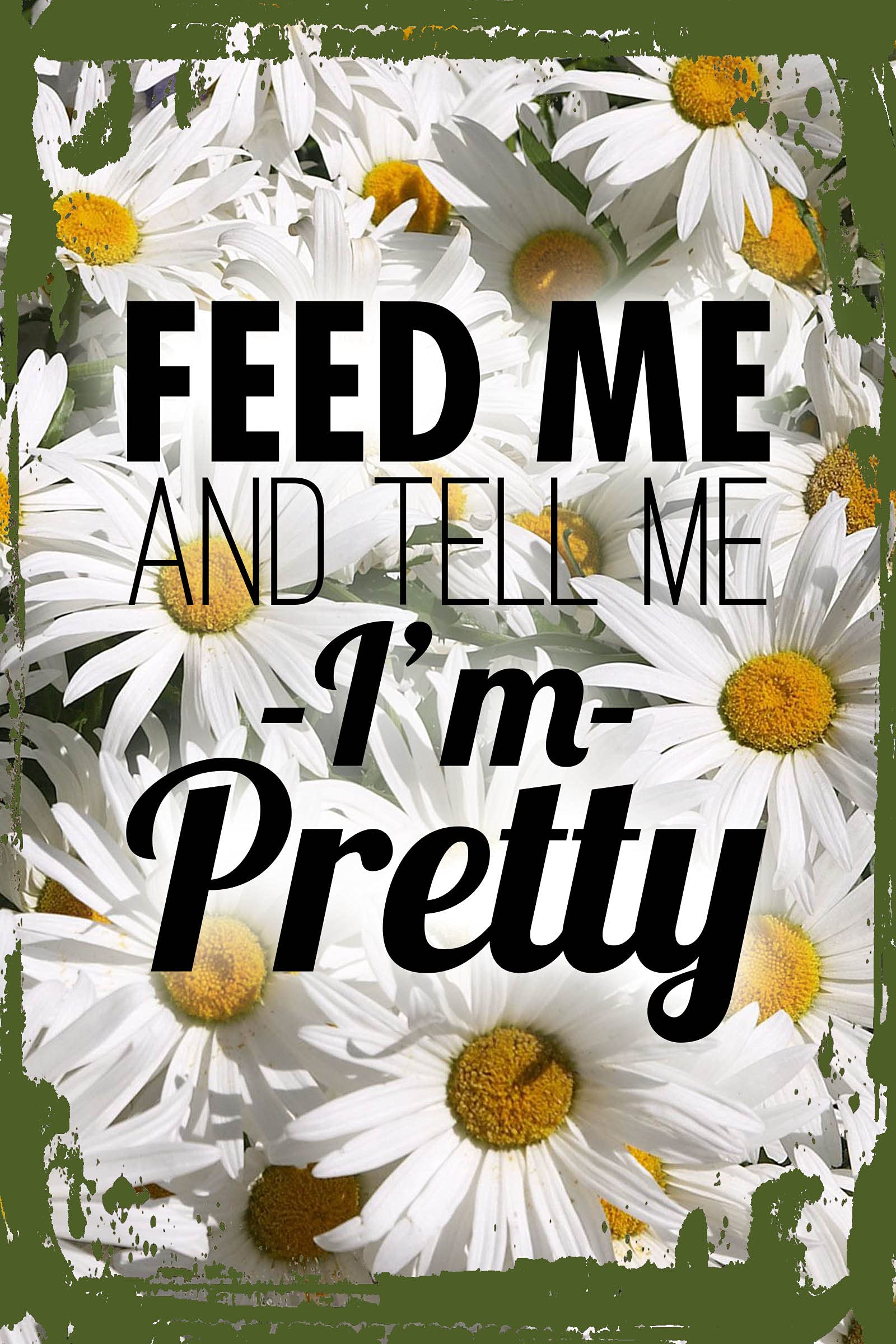 Funny Daisy Flower Wall Art - 'Feed Me & Tell Me I'm Pretty' Kitchen Sign - 8x12 Inches - Cute Relationship Gift for Girlfriend, Wife - Perfect for Dining Room, Kitchen Decor & Housewarming Present