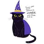 Witch Cat