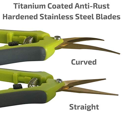 Ultimate Gardening Tool Set - Heavy Duty Wrought Iron Hose Holder, Extendable Watering Wand, 5-Piece Hand Tools & Pruning Shears | Perfect Gardening Gifts for Men & Women | Ideal for Backyard, Lawn Care & Vegetable Gardening