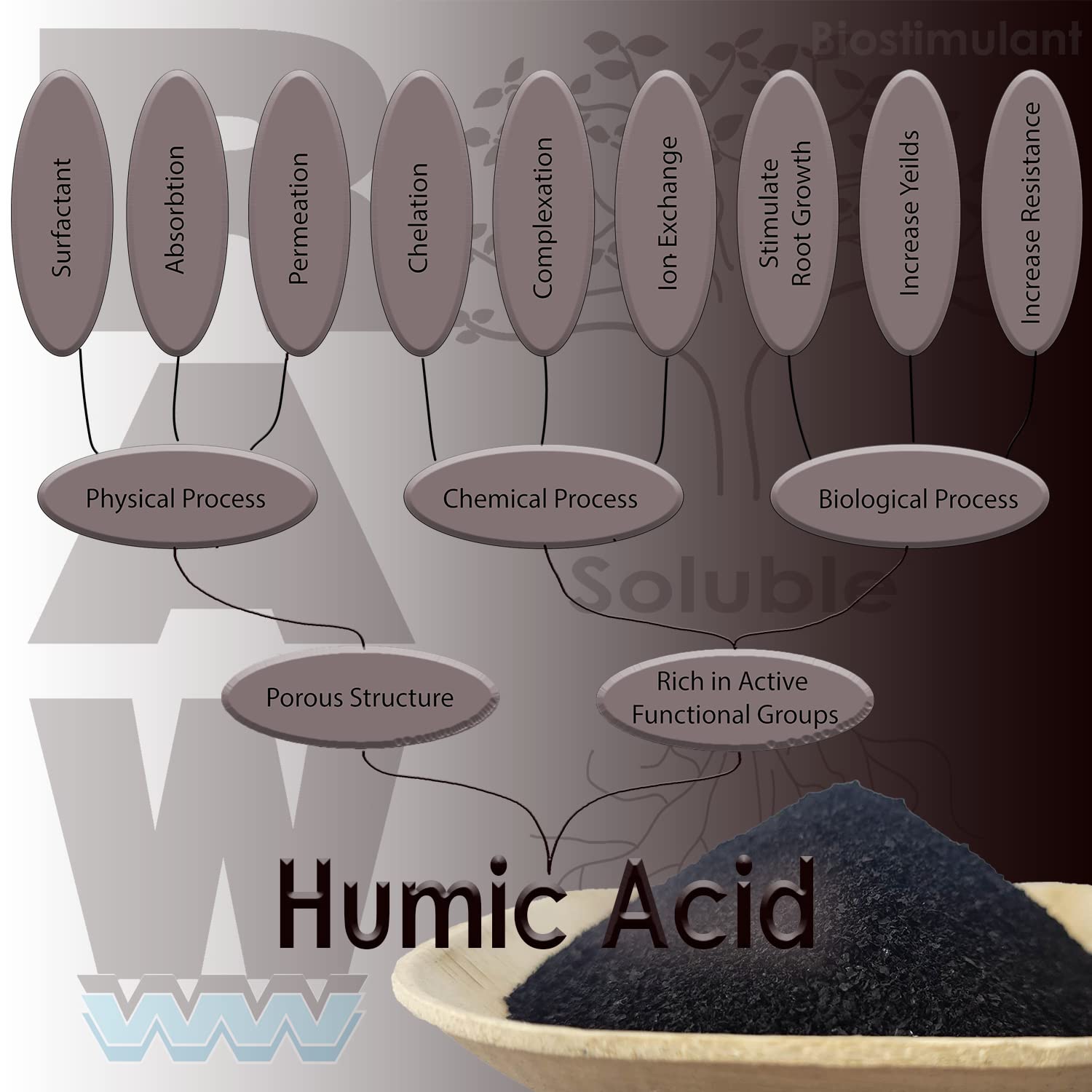 Premium RAW Humic Acid for Plants - Organic Soil Conditioner & Growth Booster for Gardens, Lawns & Indoor Plants | Improves Nutrient Absorption & Root Development