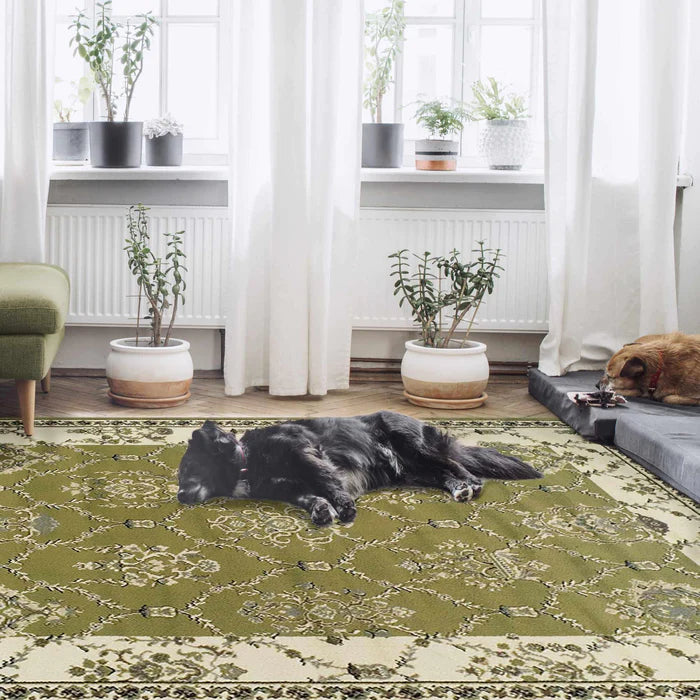 Stratton Victorian Floral Vines Lattice Indoor Area Rug - Soft Non-Slip Living Room Carpet for Bedroom, Nursery, Dorm & Home Decor
