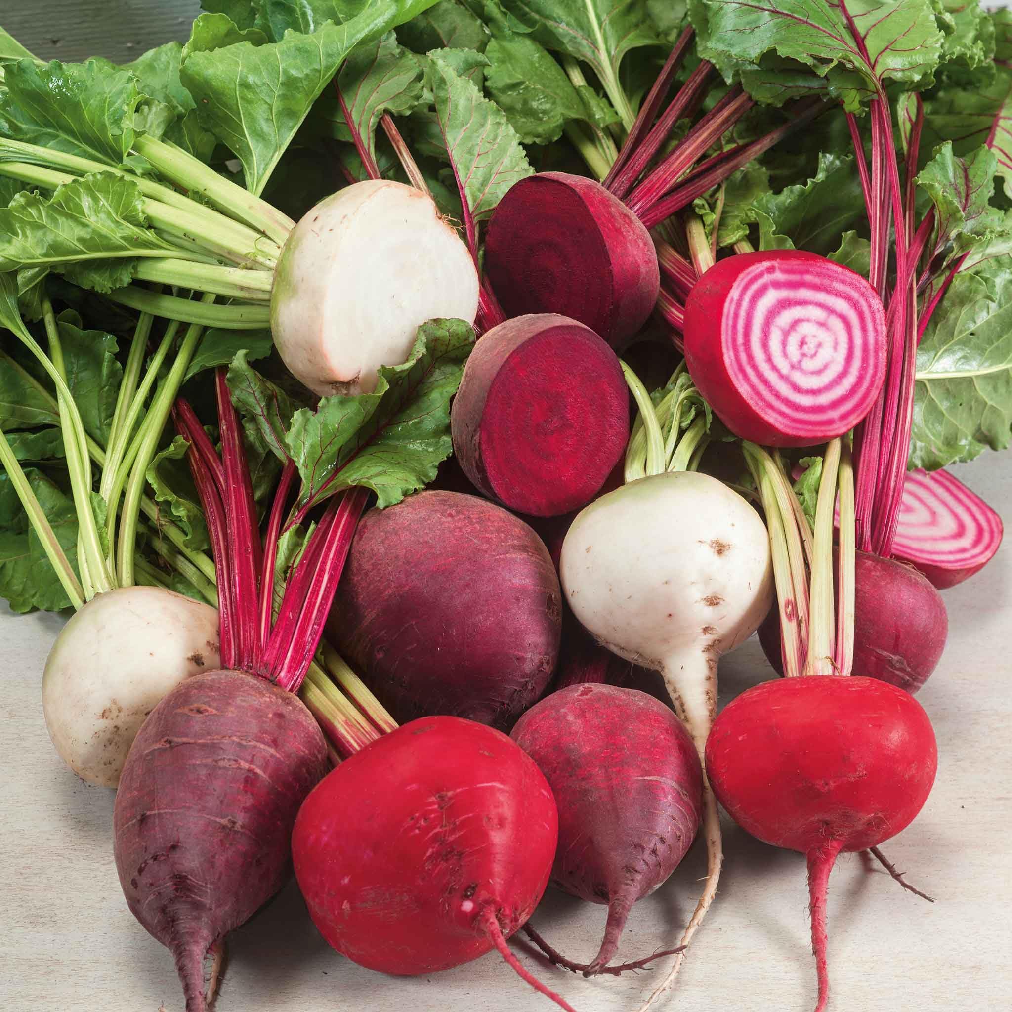 **Eden Brothers Non-GMO Rainbow Beet Seeds for Planting - 1/4 Pound | Heirloom Vegetable Seeds for Warm Season Planting in USDA Zones 2-10 | Perfect for Home Gardens, Raised Beds & Container Gardening**