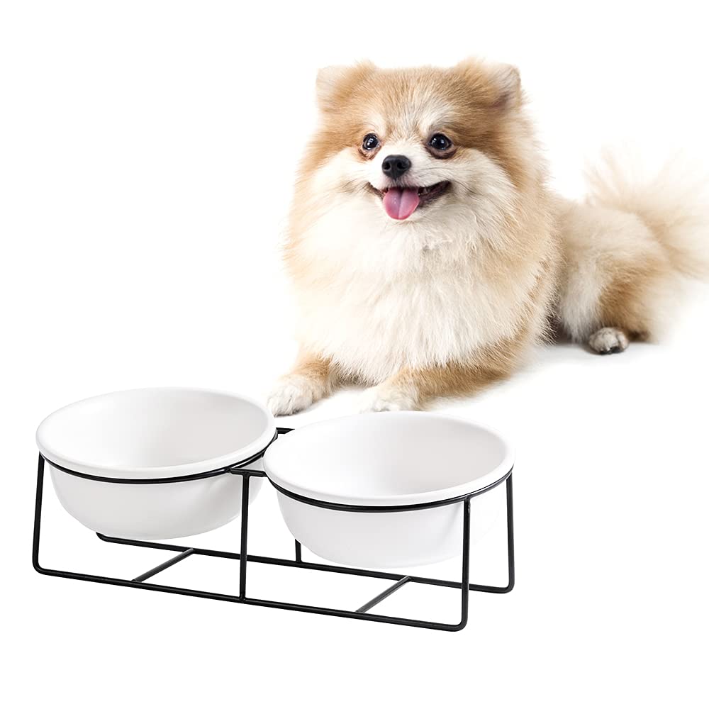 Elevated Ceramic Cat Bowl with Metal Stand - Tilted Raised Pet Dish for Cats & Small Dogs - 20.3oz Microwave & Dishwasher Safe Food Water Bowl - Perfect for Healthy Posture & Mess-Free Feeding