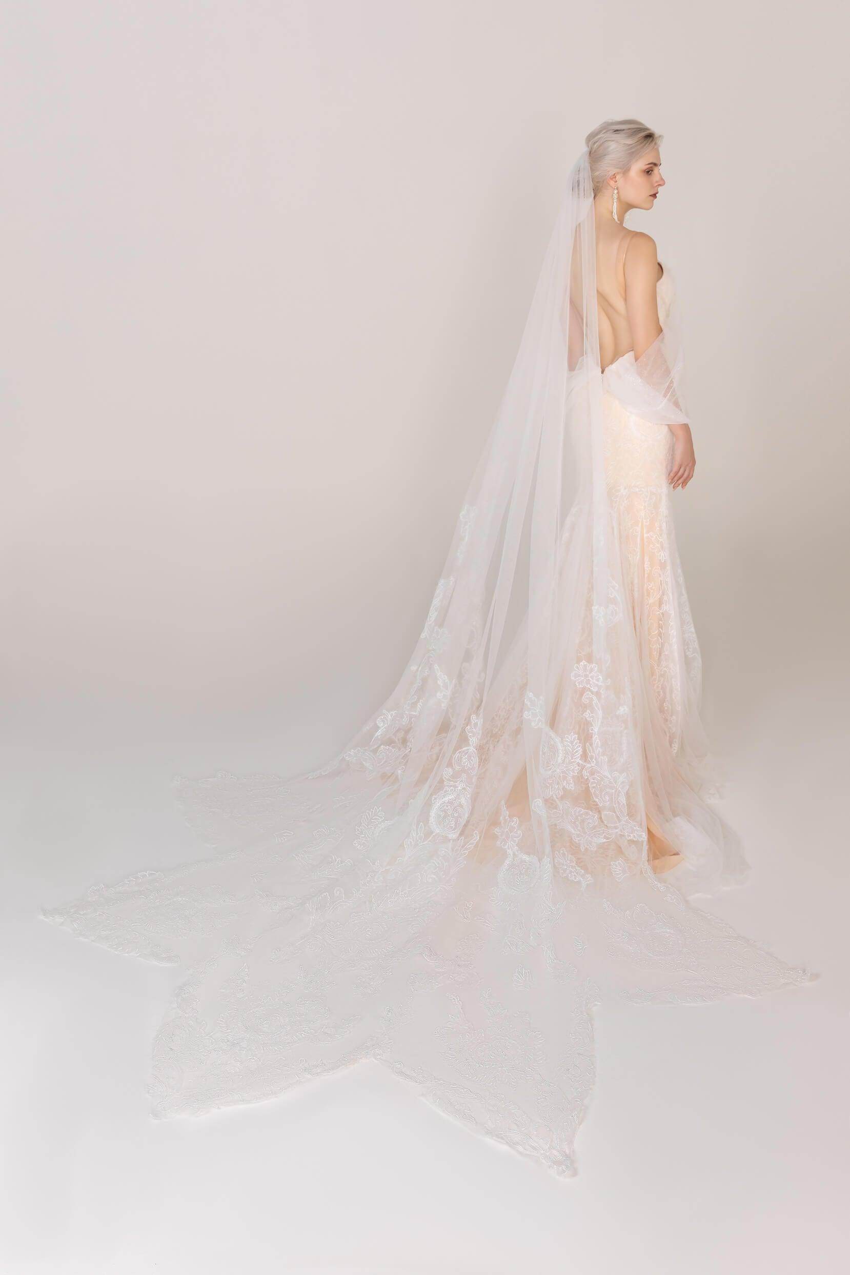 One Tier Lace Edge Tulle Cathedral Wedding Veil with Appliques (CV0245) - Perfect for Bridal Gowns, Church Ceremonies & Formal Weddings