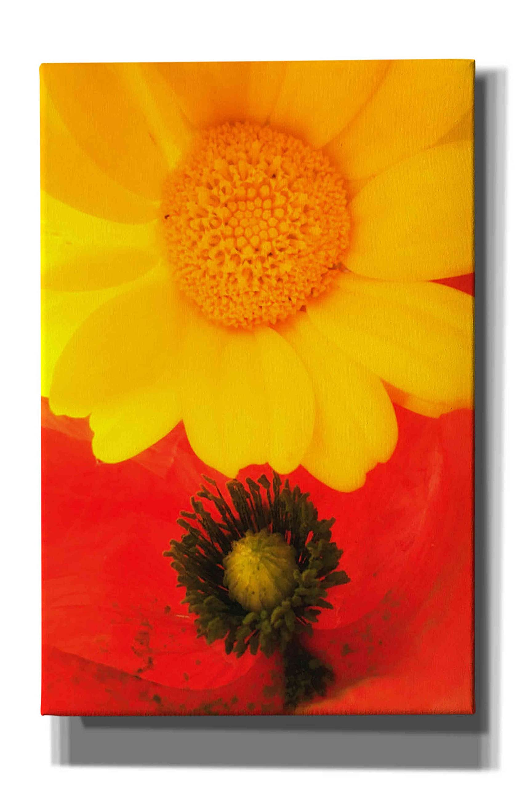 Epic Graffiti 'Spring Love' by Cesare Bellassai - Large 40x60 Inch Canvas Wall Art Decor for Living Room, Bedroom & Office - Modern Urban Street Art Painting