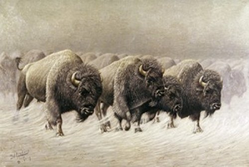Vintage 'In the Teeth of the Blizzard' by E.W. Lenders (1864-1934) American Art Poster Print - 18x24 Inches - Perfect for Home Decor, Office Wall Art & Historical Art Collections