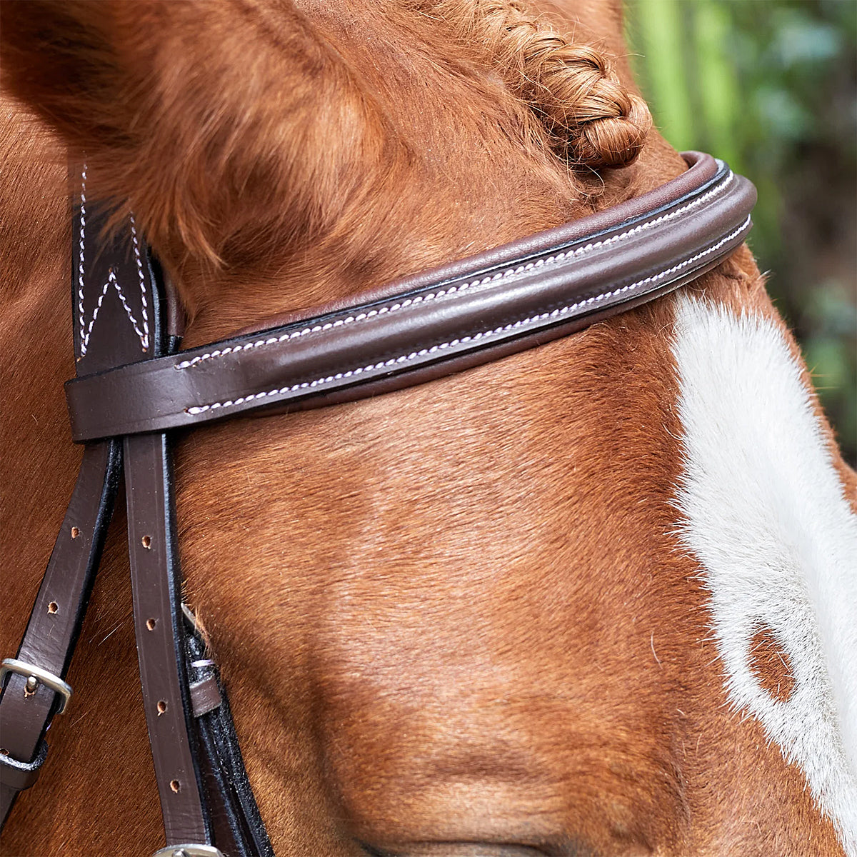 HDR Pro Mono Crown Raised Figure Eight Bridle with Rubber Reins - Premium Equestrian Headgear for Dressage & Show Jumping - Perfect for Training & Competition Riding