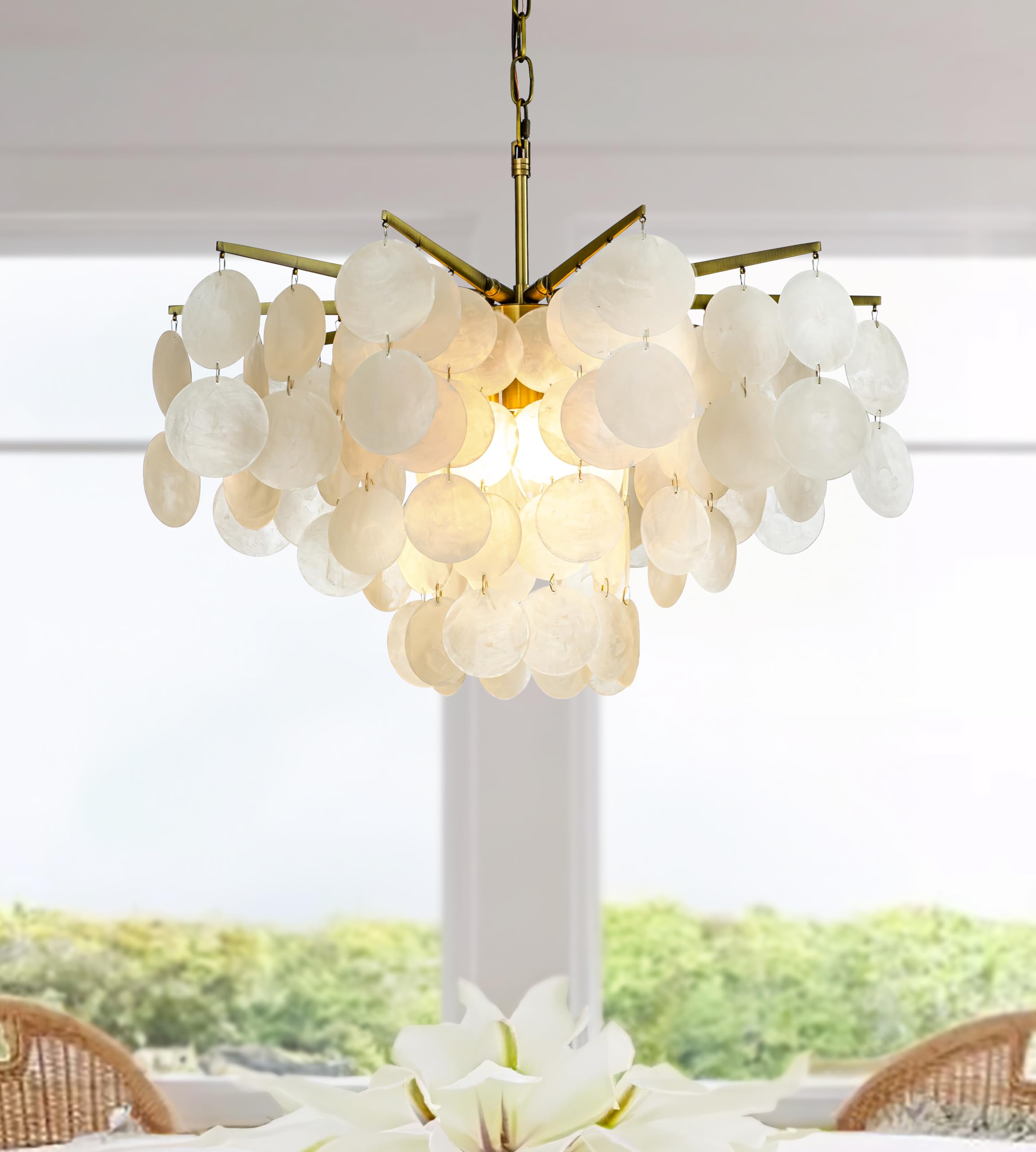 4-Light 22
