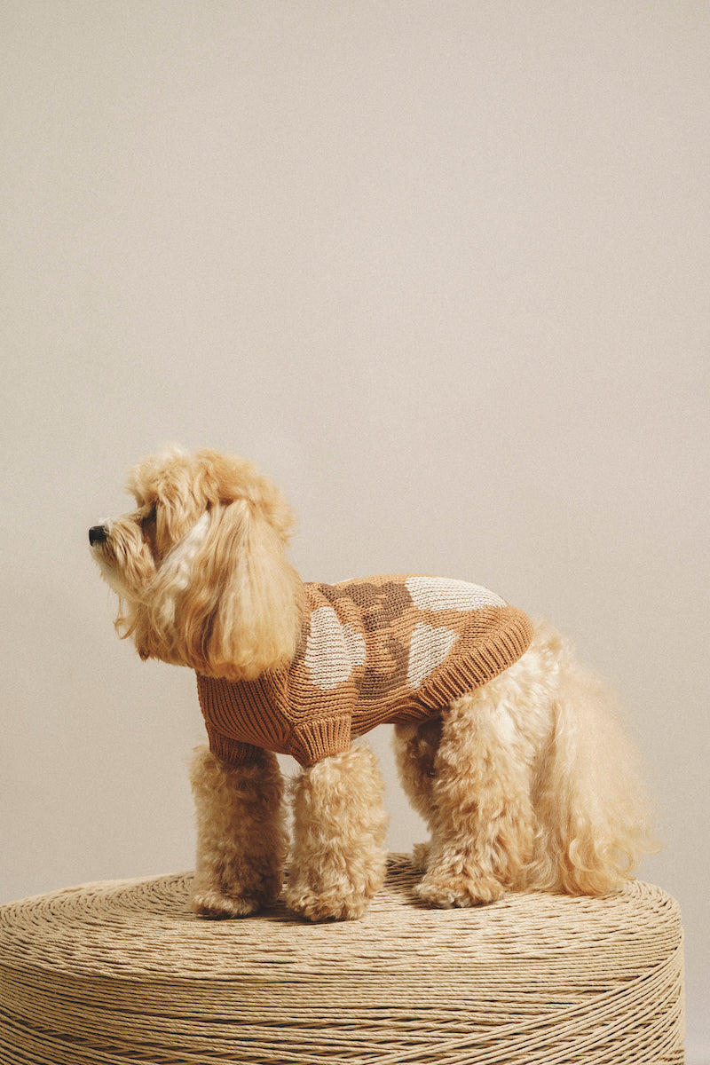 Dog Cardigan Sweater - Soft Pony Cotton Knit for Small Dogs - Cozy Winter Wear for Indoor & Outdoor Use